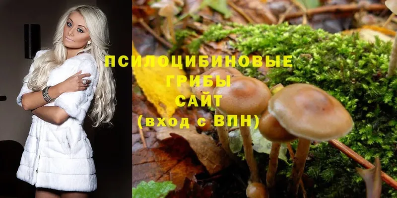 Галлюциногенные грибы Magic Shrooms  kraken зеркало  Луховицы 